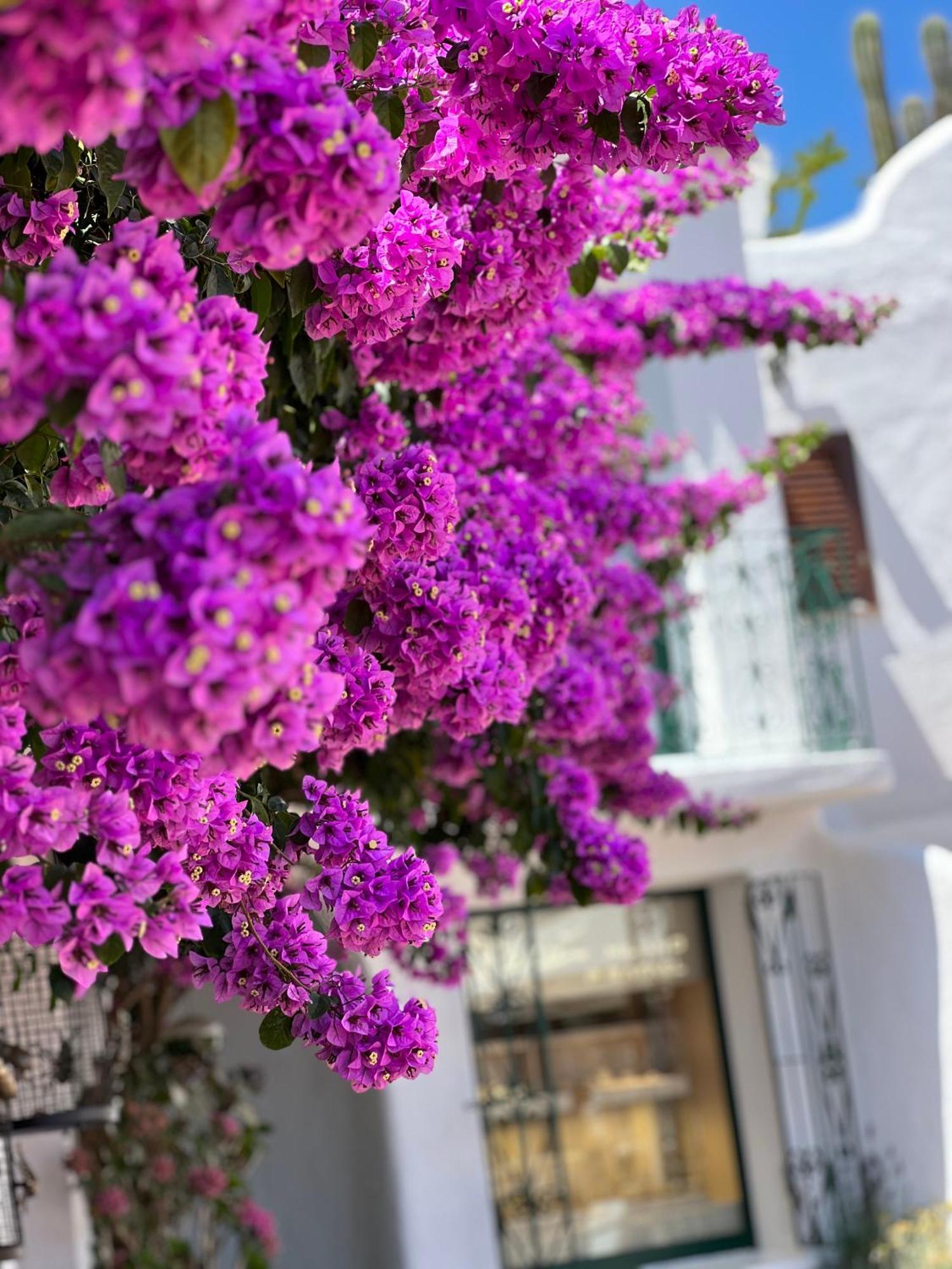 Boutique Hotel Solaz Porto Rafael Exterior foto